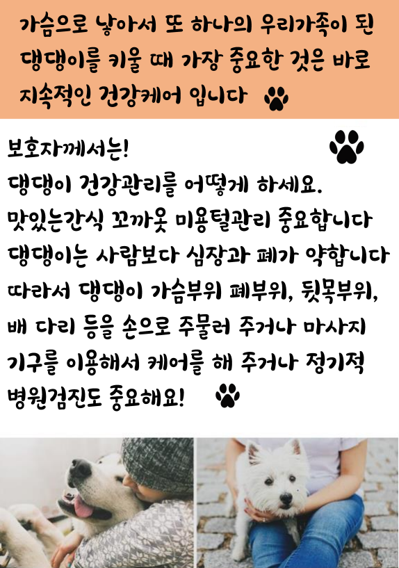 건강케어22.PNG