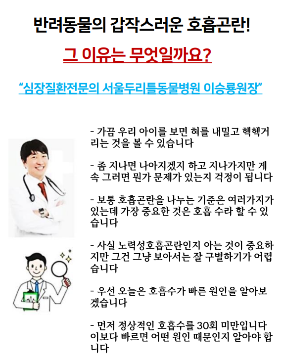 두리틀.PNG