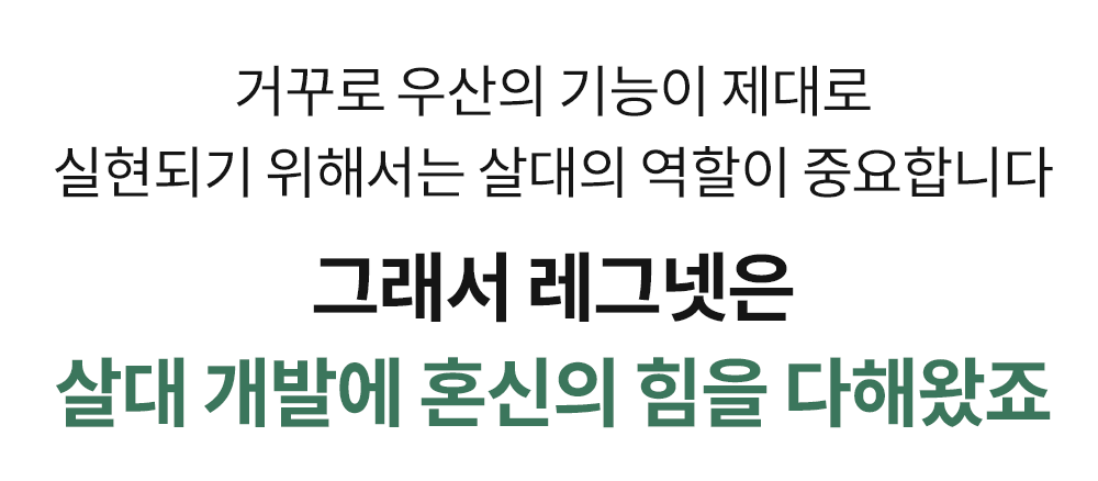 내용_12.png