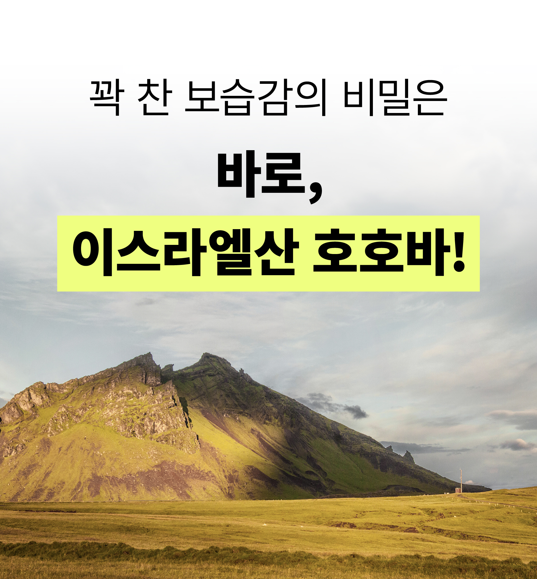 얼댓_수정-29.jpg