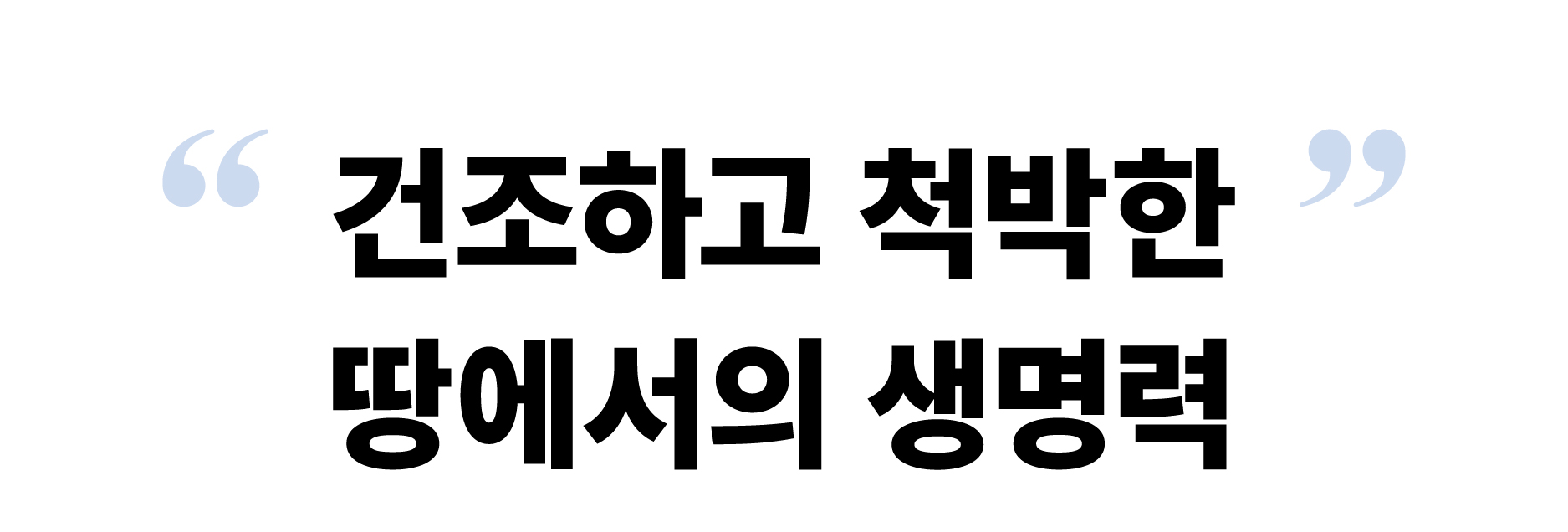 얼댓_수정-41.jpg