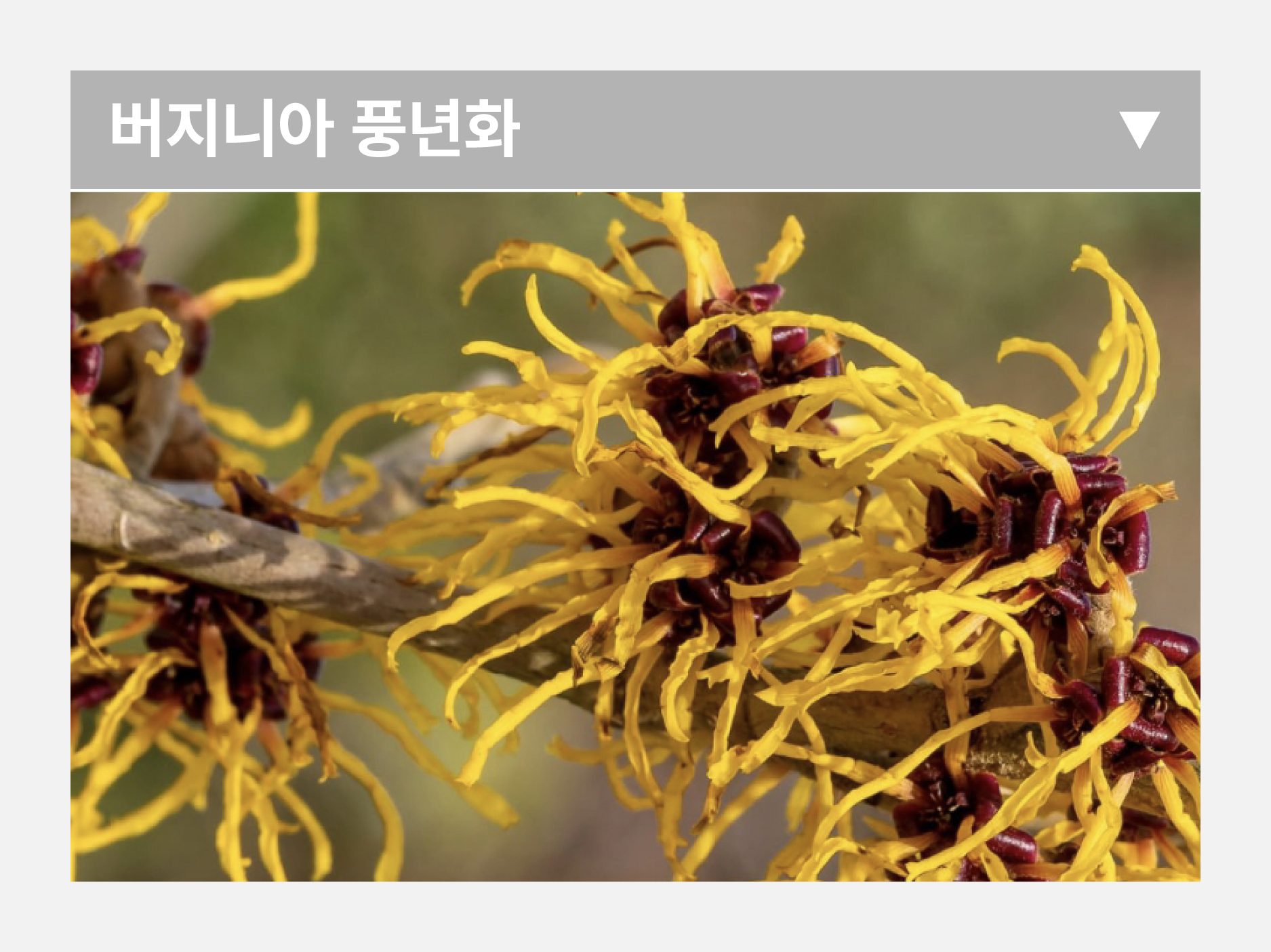 얼댓_수정-69.jpg