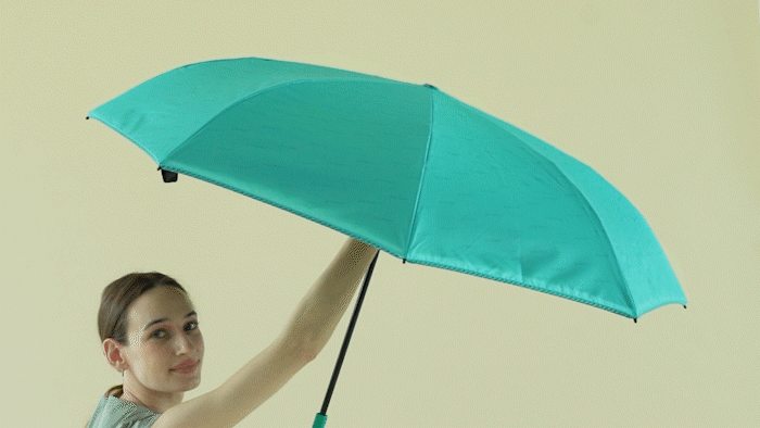C9180_46.gif