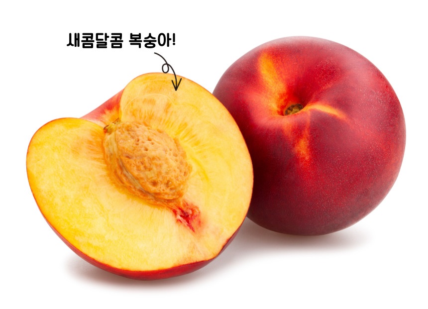 천도복숭아-004.jpg