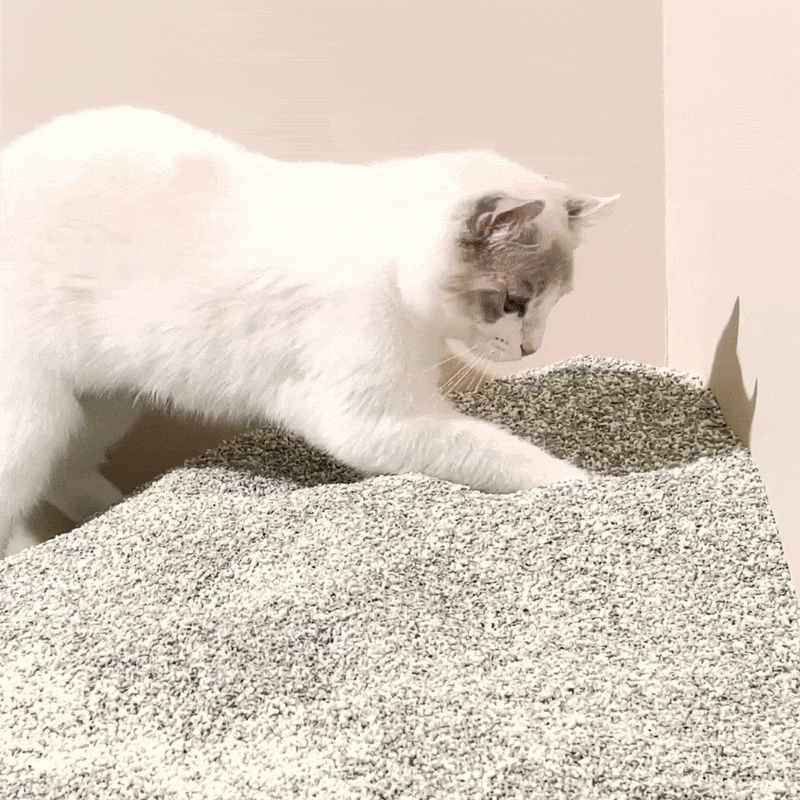 13.gif