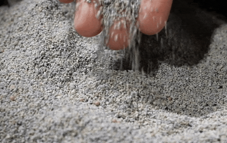 29.gif