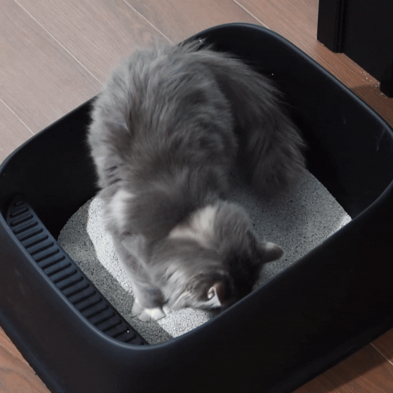 12.gif