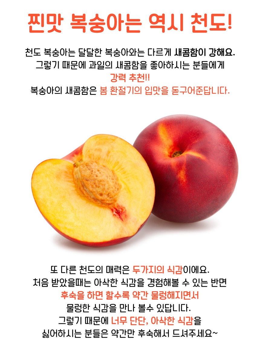천도복숭아-008.jpg