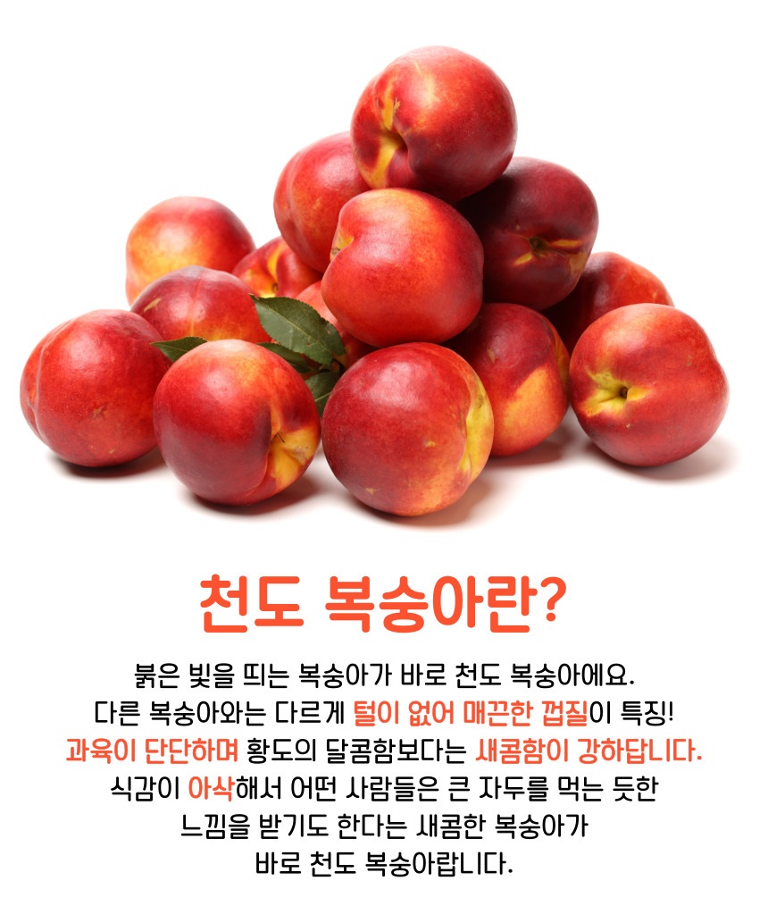 천도복숭아-007.jpg