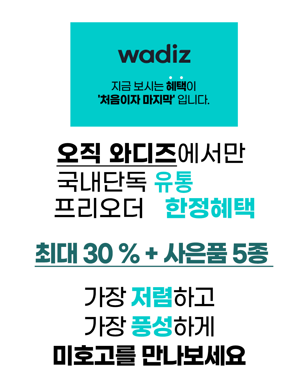 240221_미니바이크_03_06.jpg