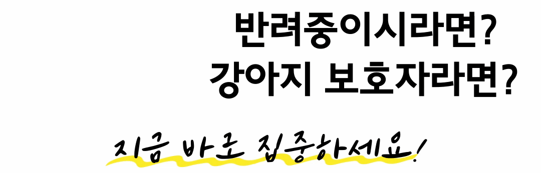 제목을-입력해주세요_ (10).gif