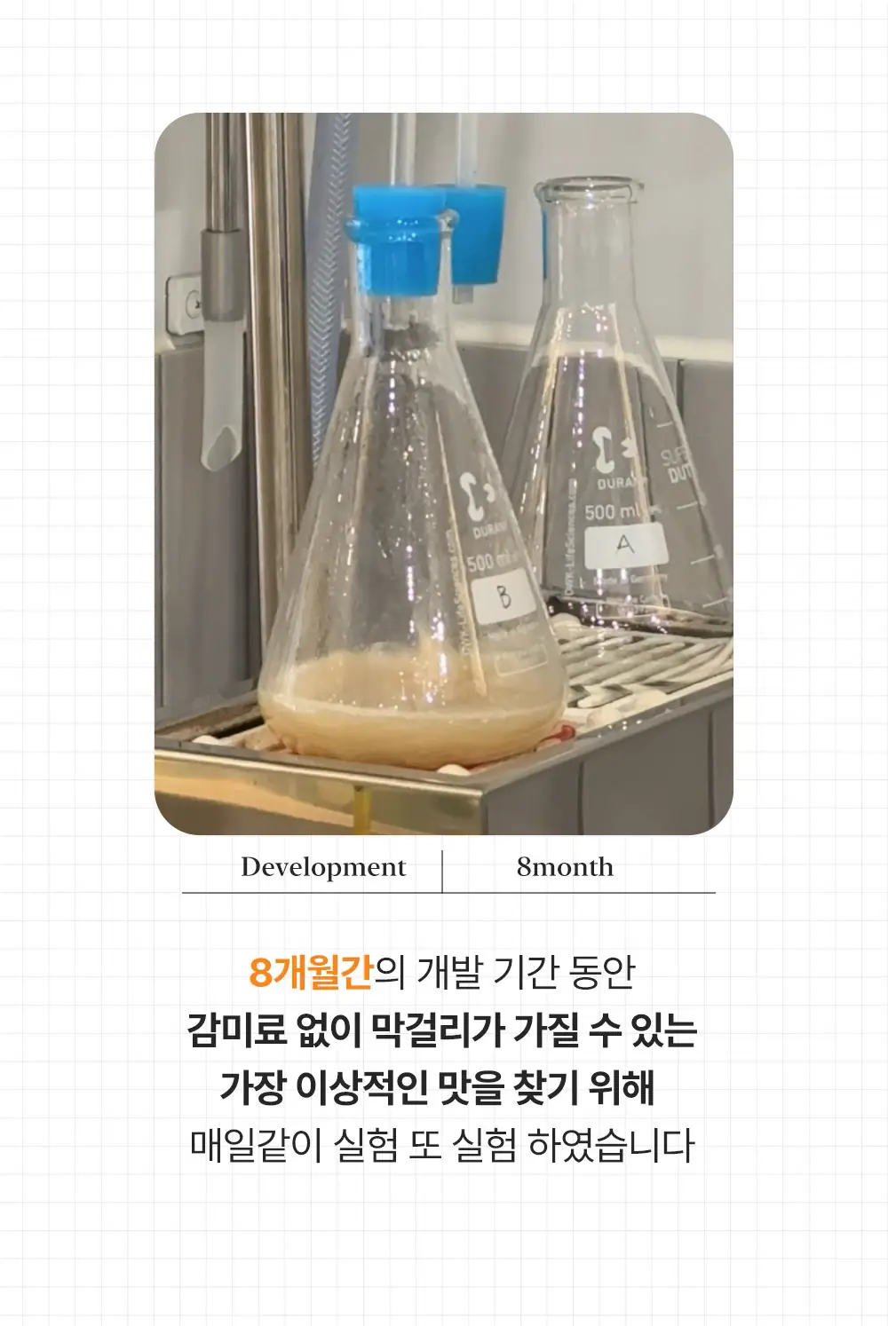 14.webp