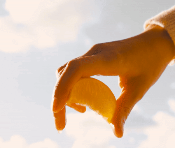 20220925162942887_70.gif