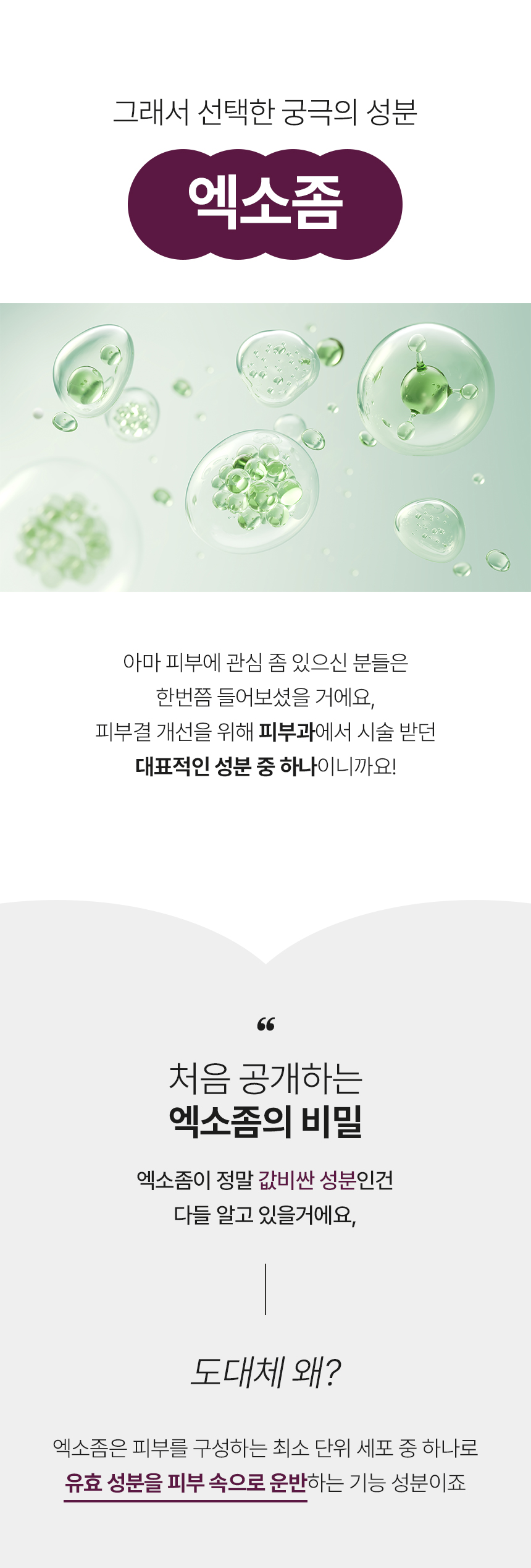 1-도우코스메틱[2차]_07.jpg