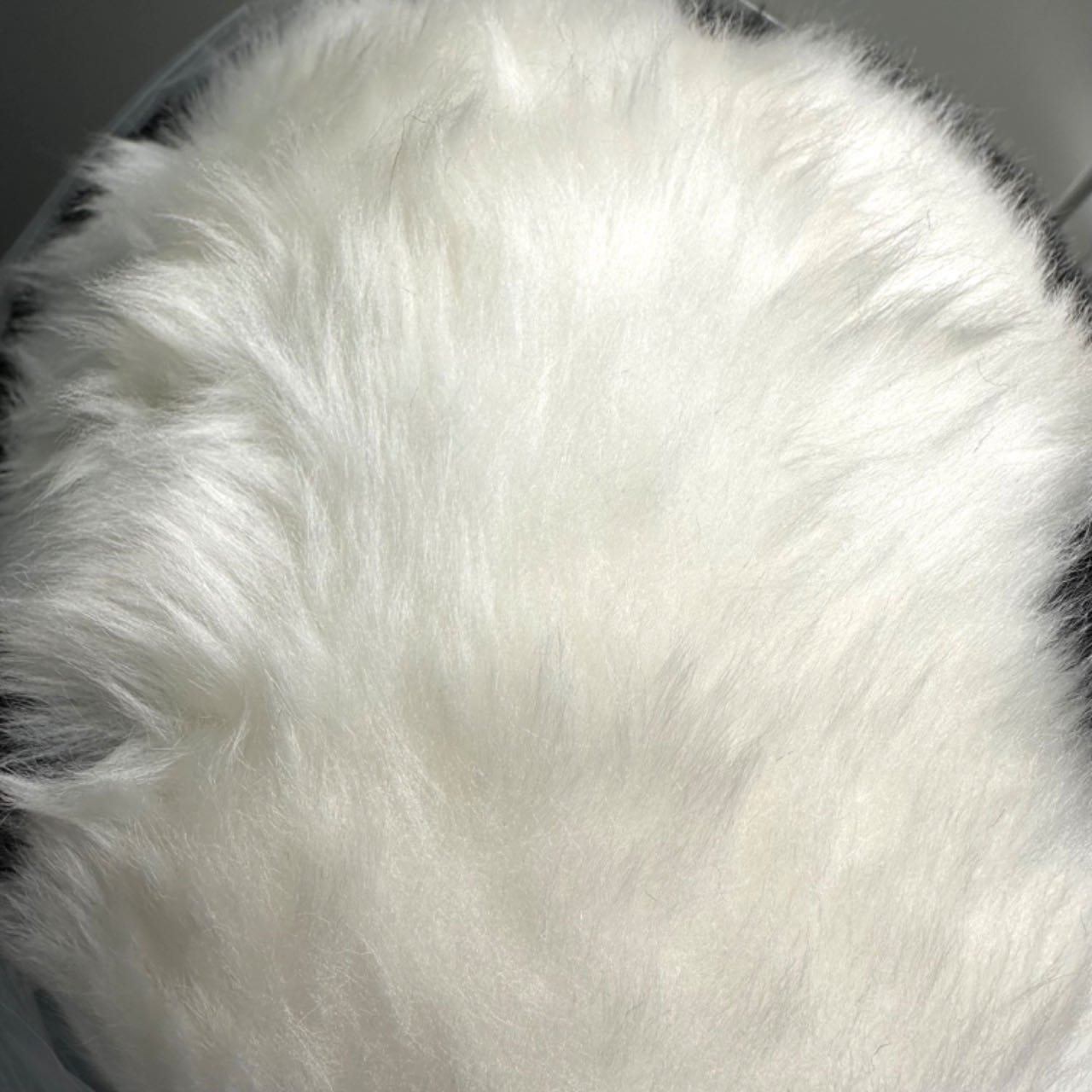 양털 실루엣_2.jpg