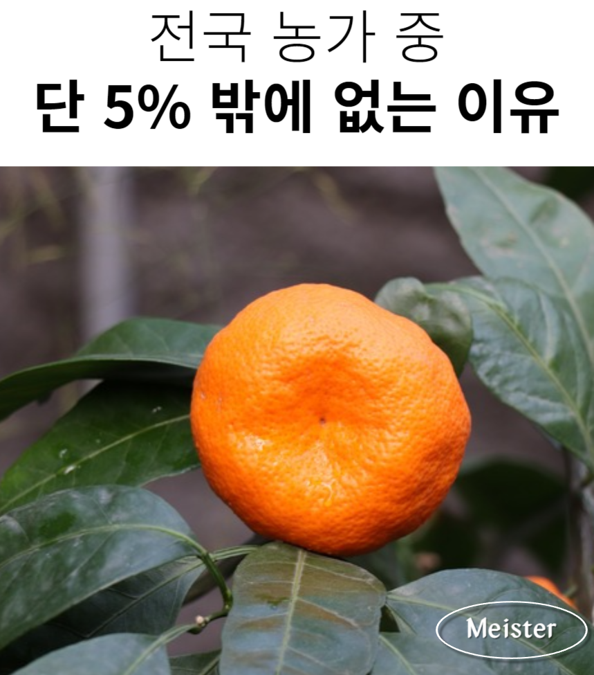 8458548.png