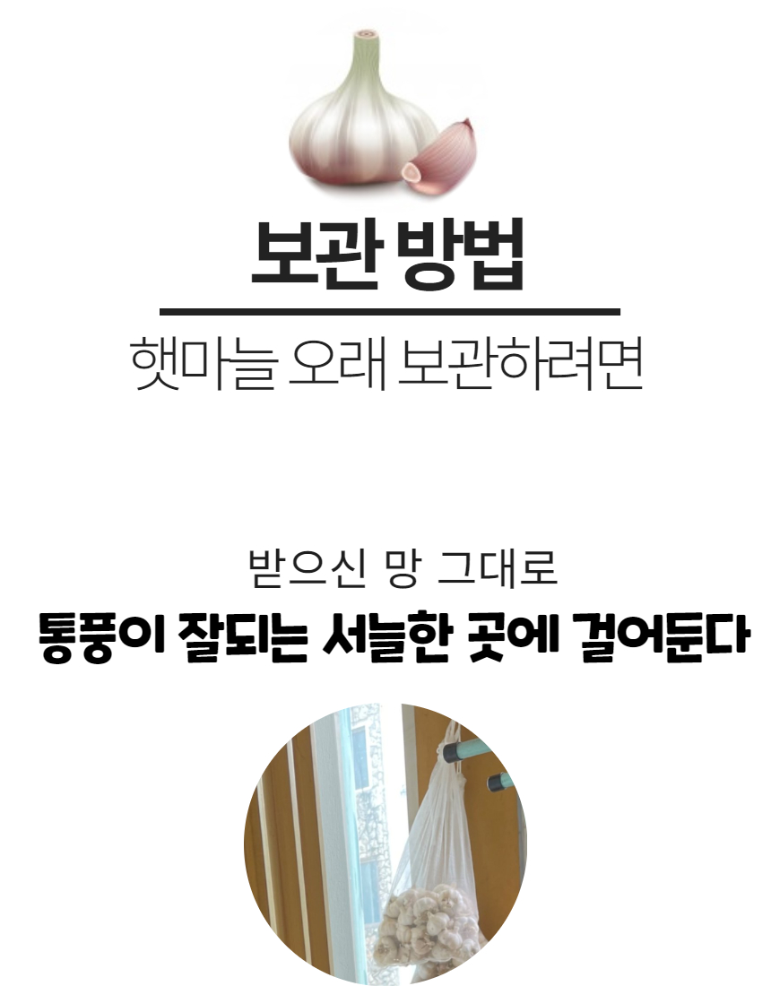 햇마늘 66.jpg