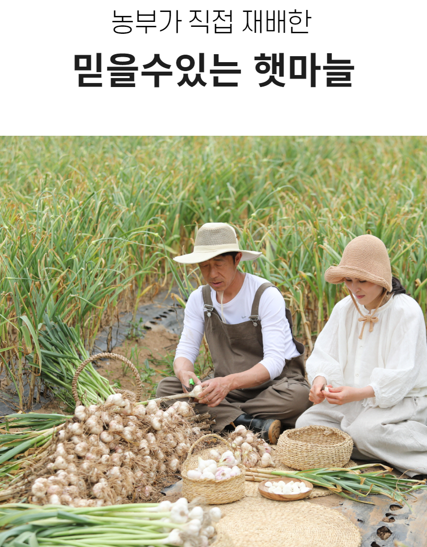 햇마늘 30.jpg