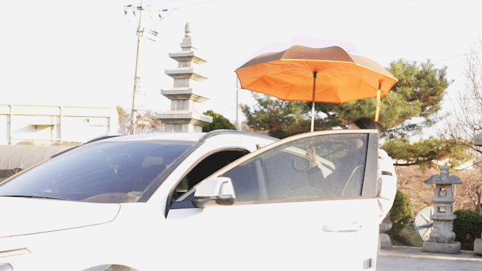 C9399_6.gif