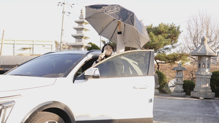 C9399_5.gif
