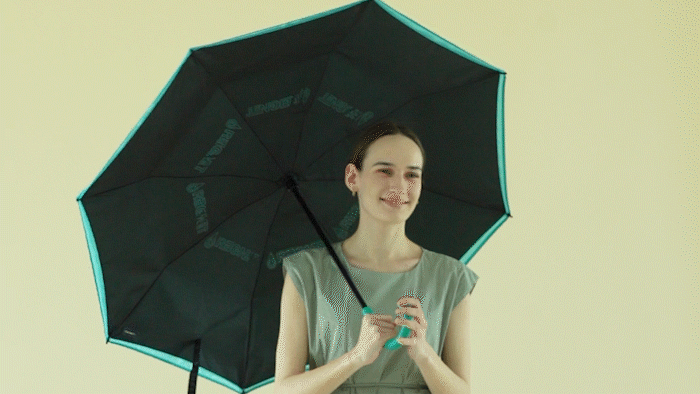 C9180_45.gif