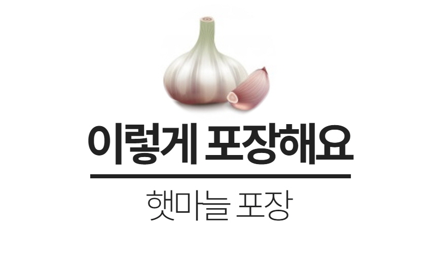 햇마늘 63.jpg