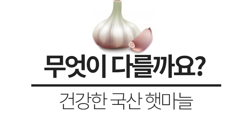 햇마늘 37 - 1.jpg