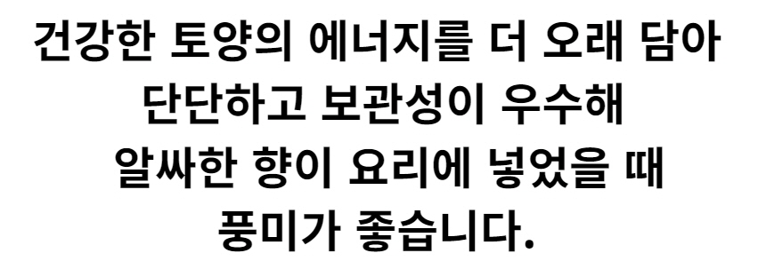 햇마늘 33-1.jpg