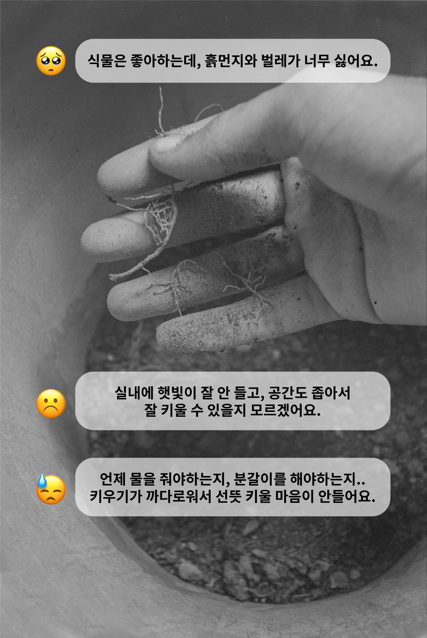 와디즈.jpg