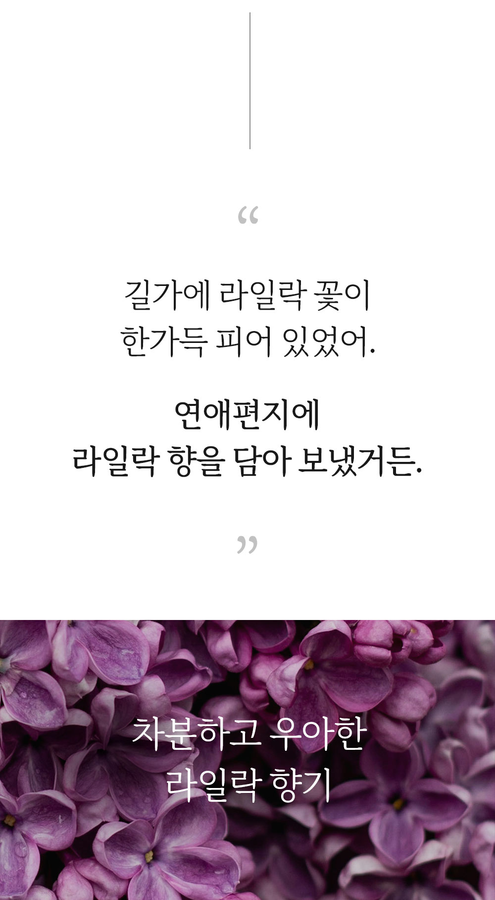 1_14.jpg