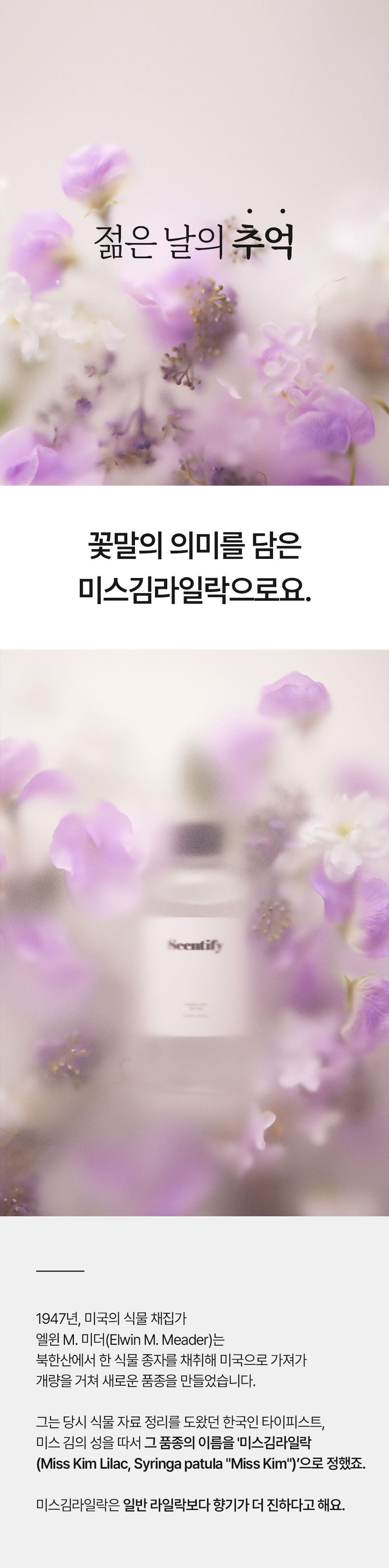 2_01.jpg