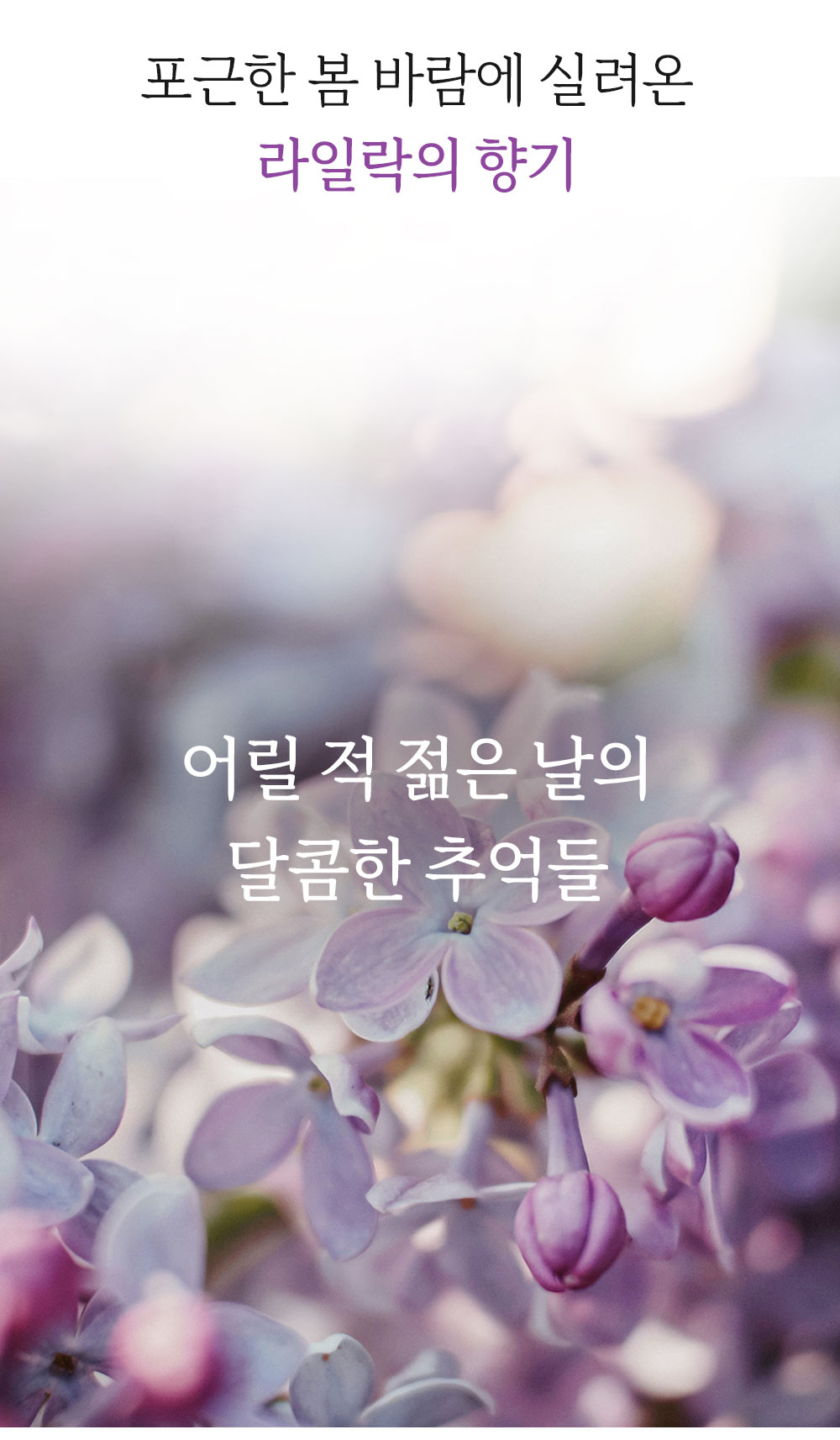 1_07.jpg