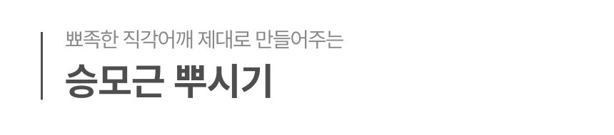 53. aromang_wadiz.jpg