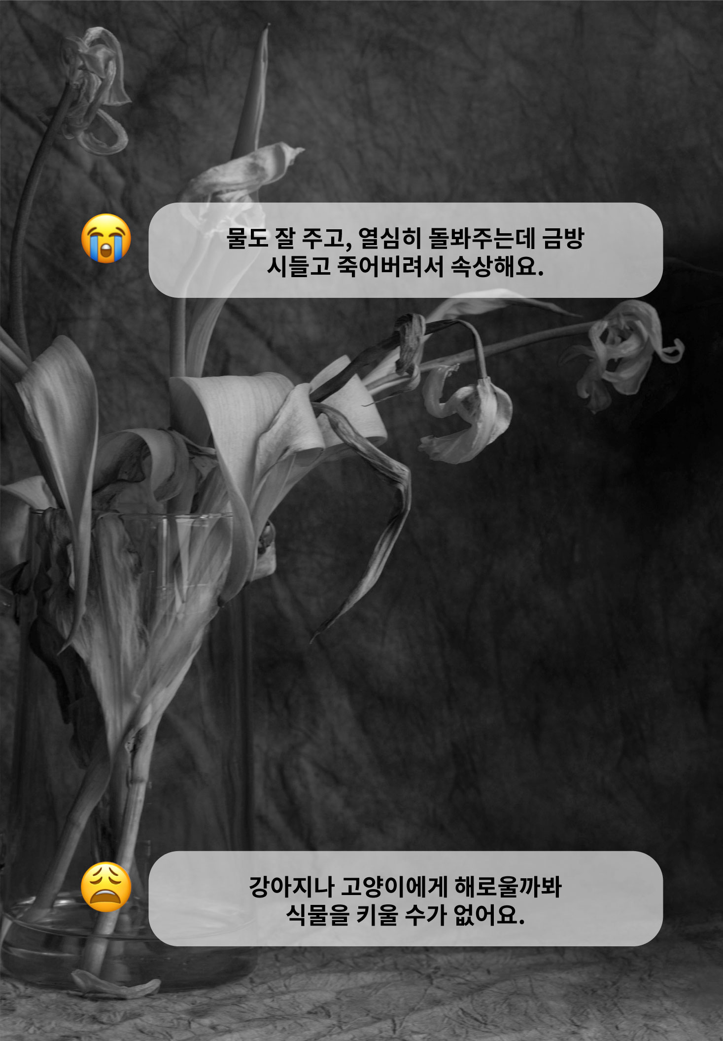 와디즈-2.jpg