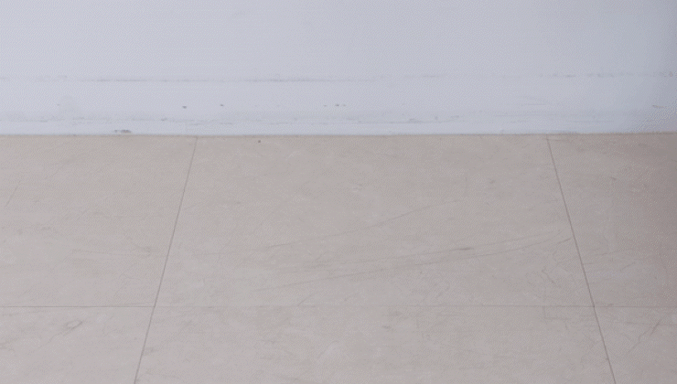 70. aromang_wadiz.gif