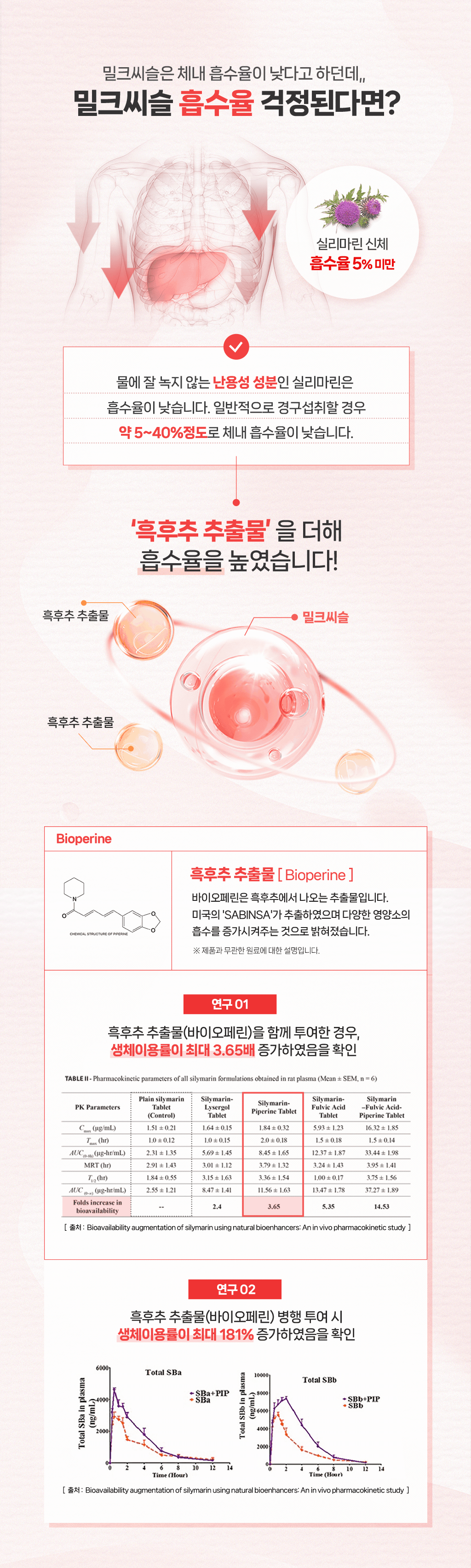 와디즈상세초안4_02.png
