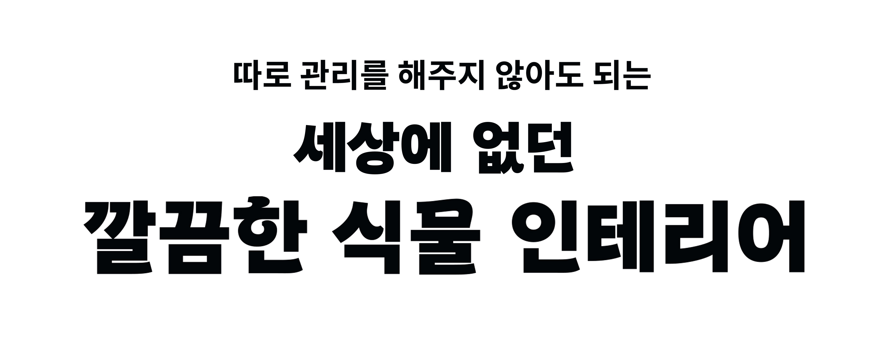 와디즈-03.jpg