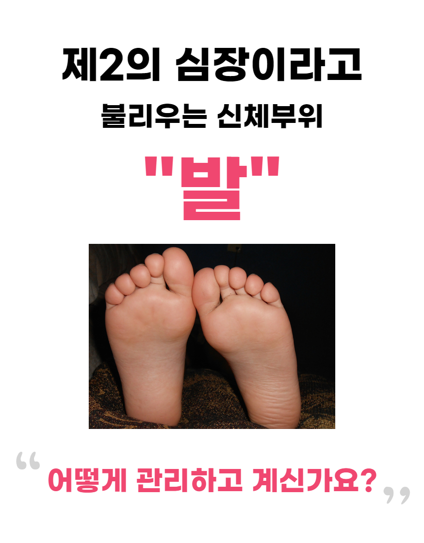 디딤돌 지압슬리퍼 (4).jpg