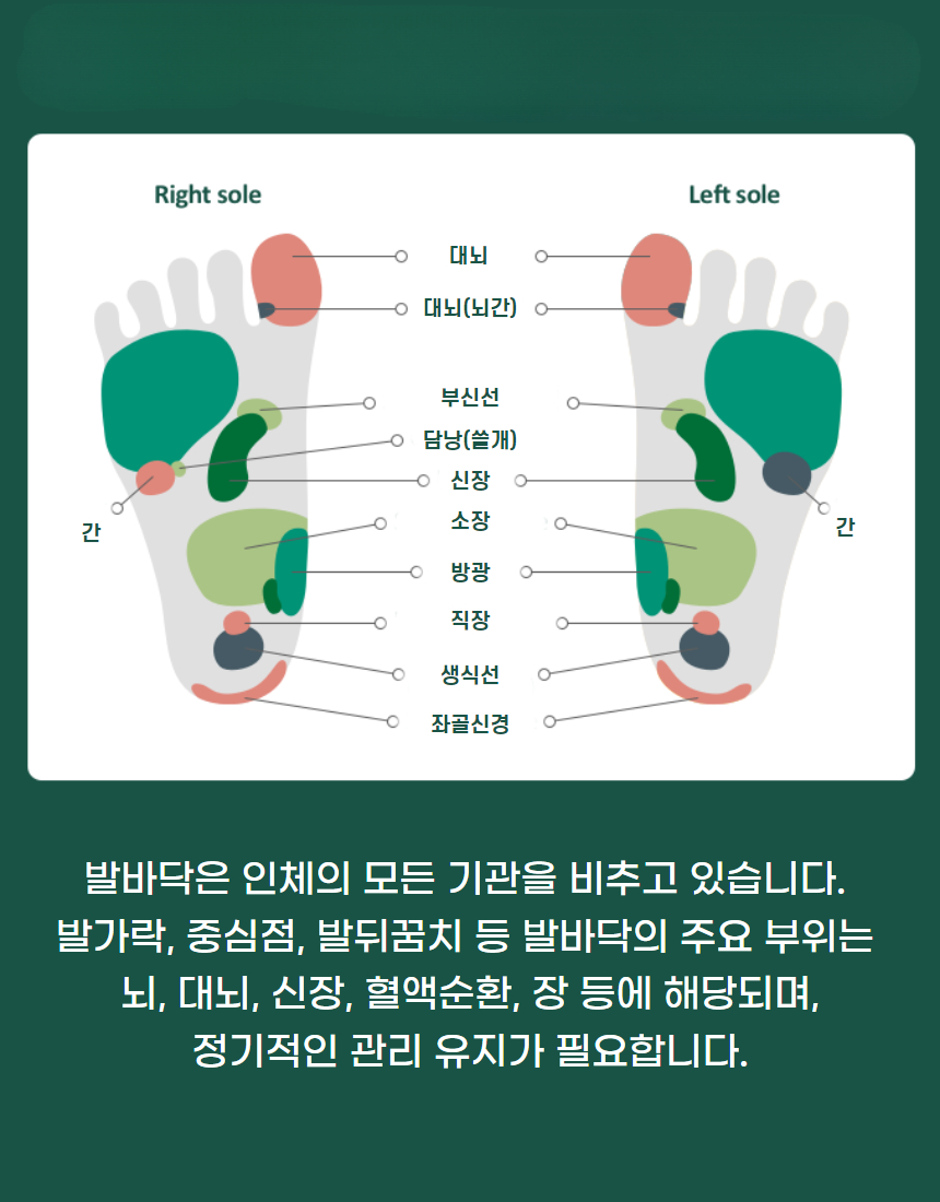 디딤돌 지압슬리퍼 (7).jpg