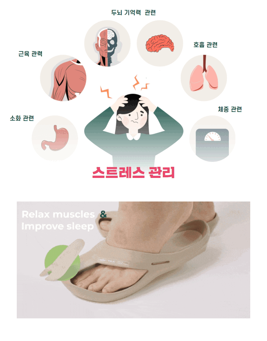 디딤돌 지압슬리퍼 (16).gif