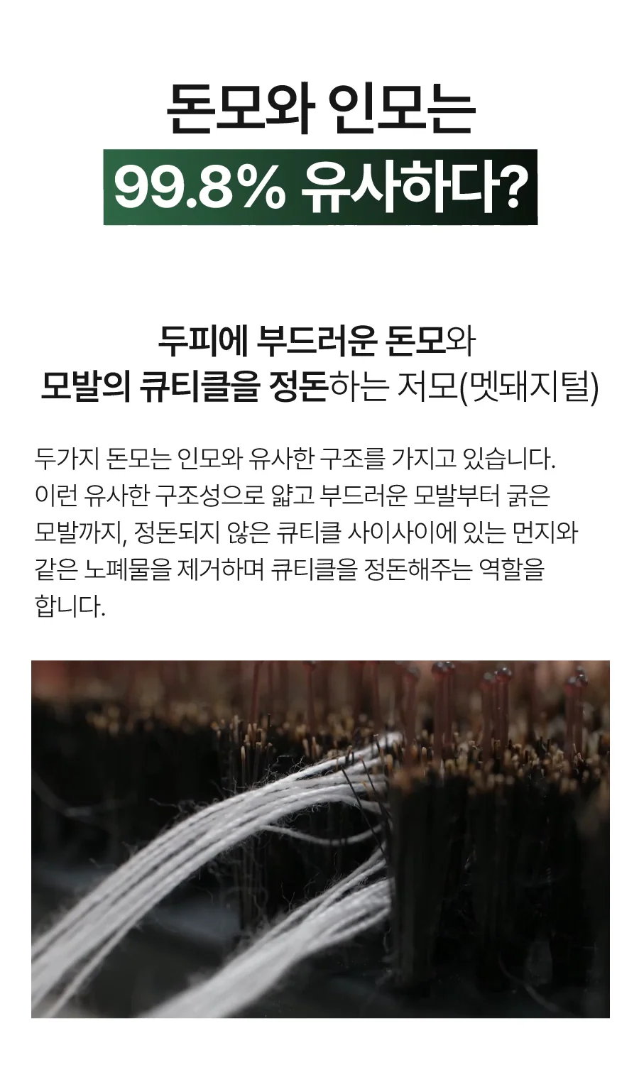 22.webp