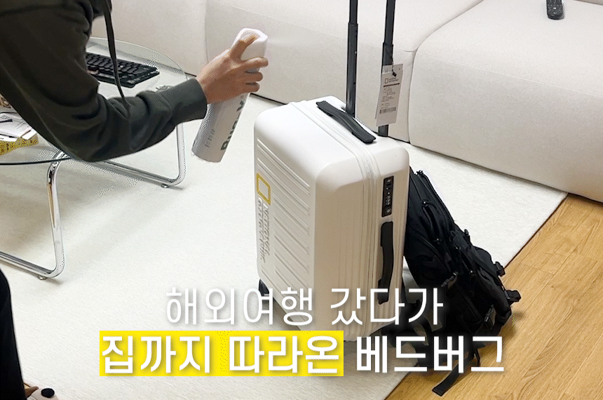 상단페이지용_해외여행.gif