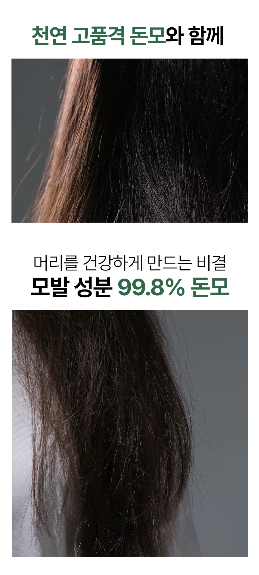 4.webp