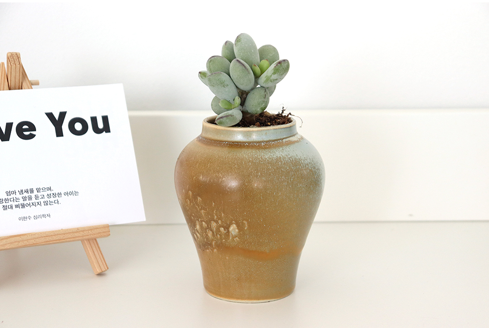 캣그로-추가내용_09.jpg