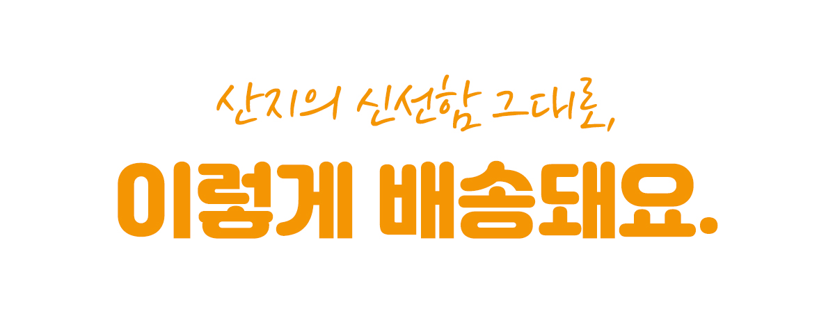 대제목6.jpg