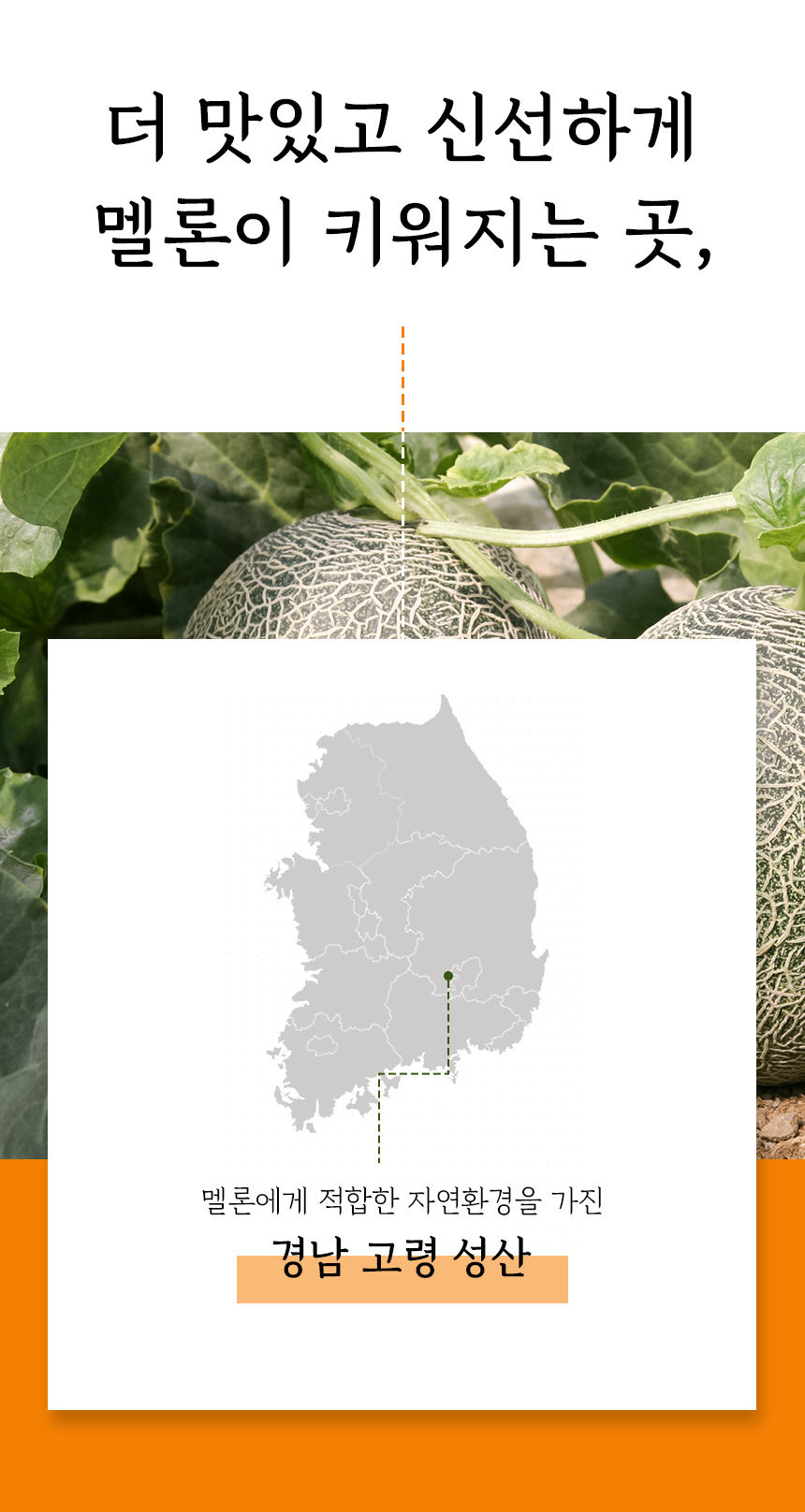 농장.jpg