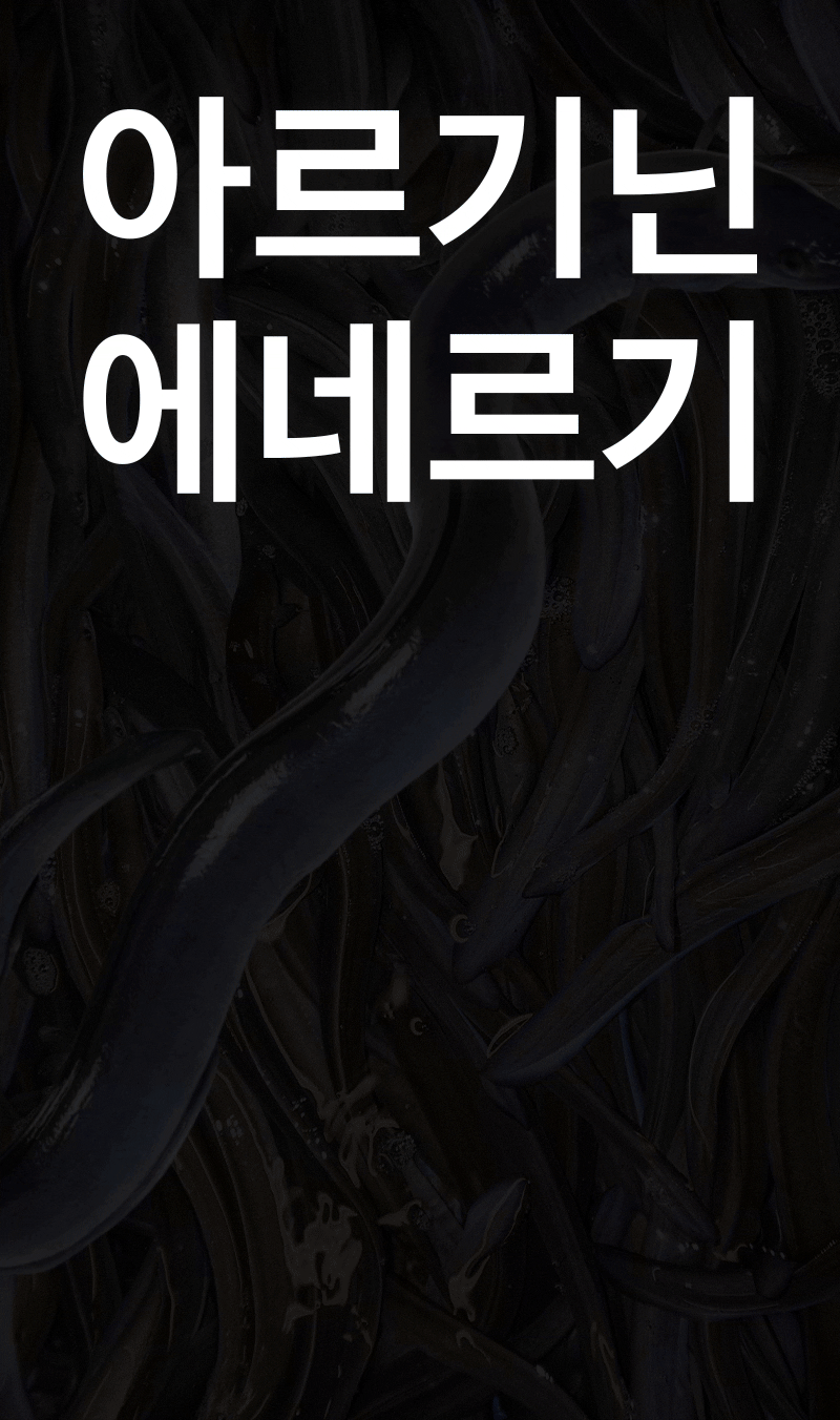 아르기닌장어.gif