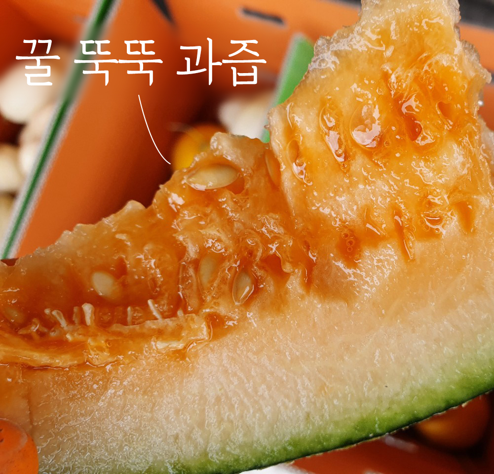 꿀 과즙.jpg