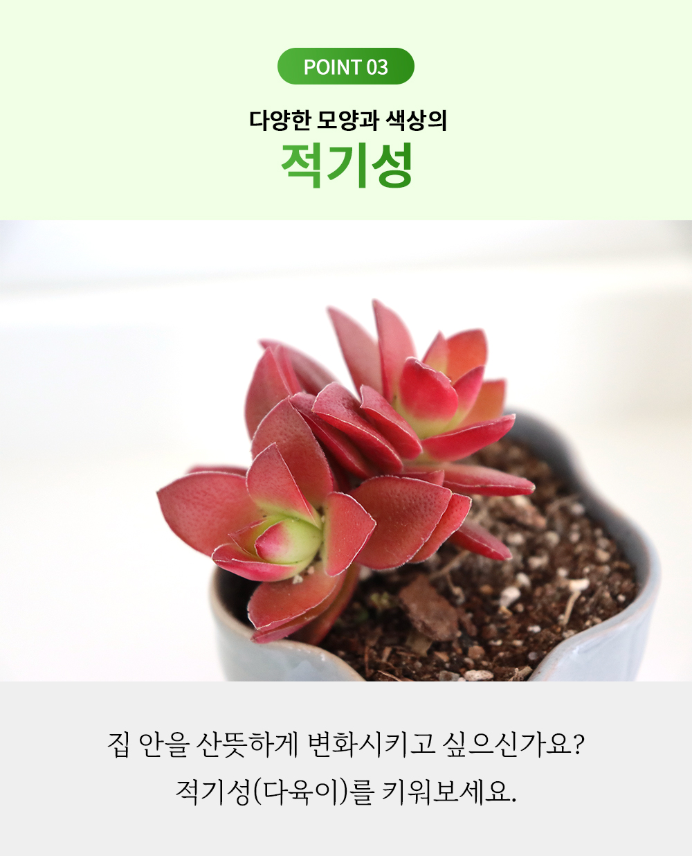 part1_19.jpg