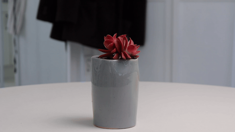 ezgif-1-61409fb8e8.gif